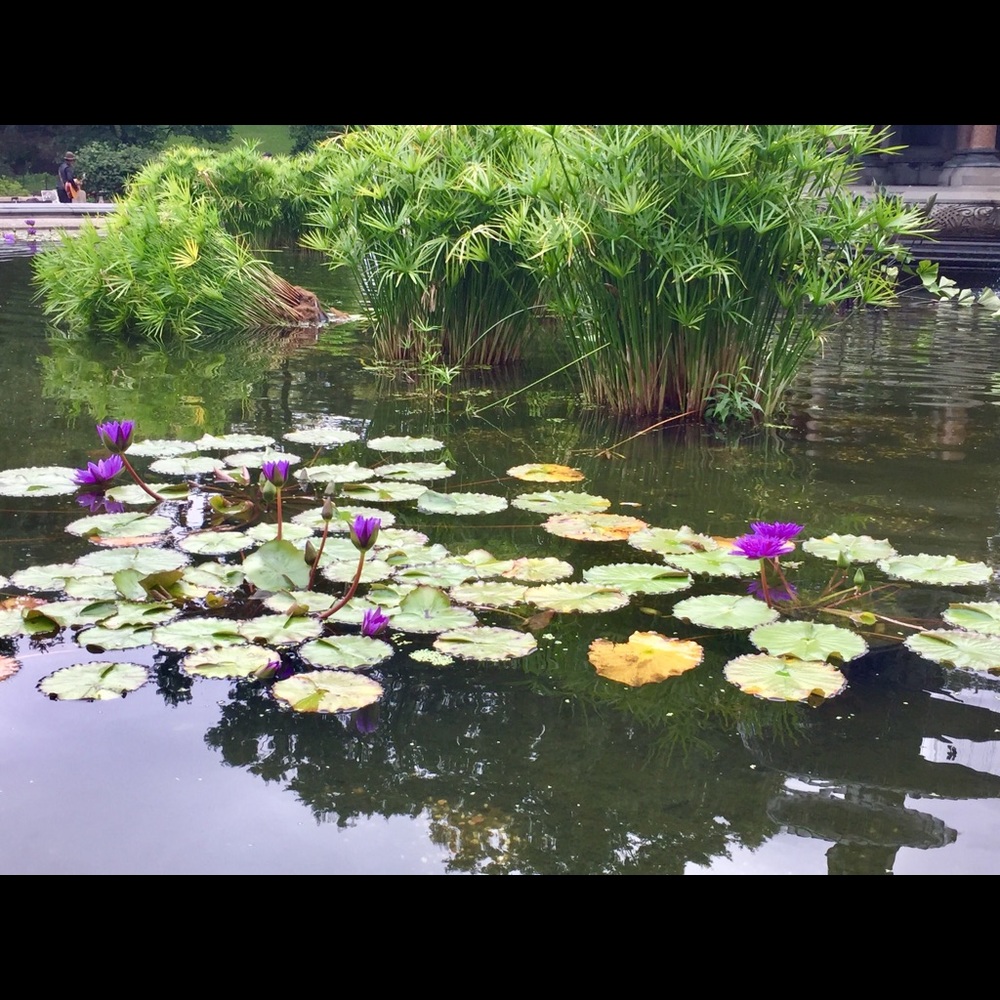 Meet your Posher, Shary